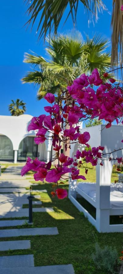 Maison - Dar Ouled Soltane Gammarth Eksteriør bilde